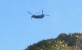 ヤンバル上空を飛ぶ自衛隊大型ヘリ